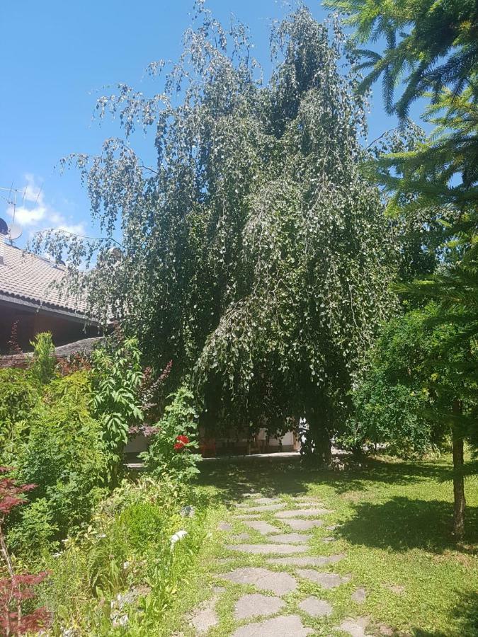 Apartamento Pelegrin 15 San Vigilio Di Marebbe Exterior foto